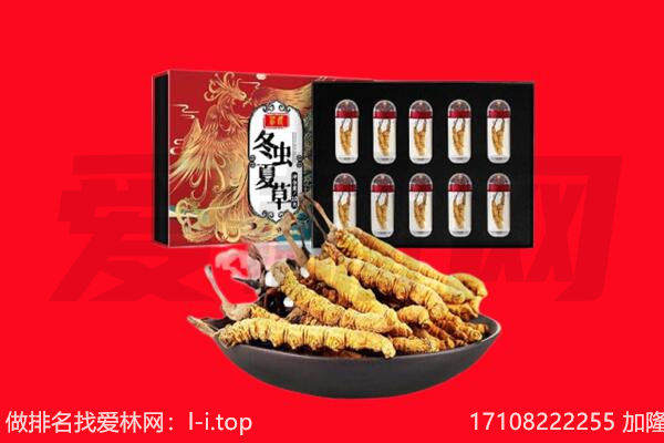 克孜勒苏回收虫草.jpg